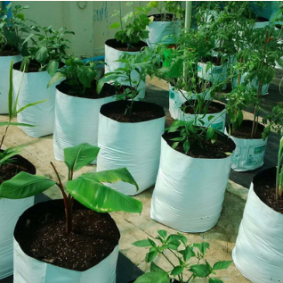 Grow Bags